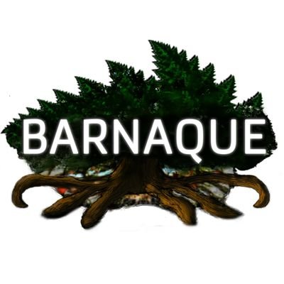BarnaqueJeux Profile Picture