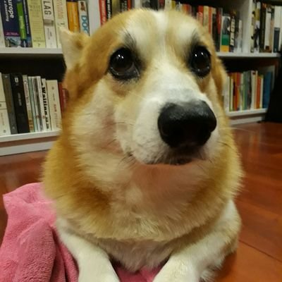 triciacerv's profile picture. 
