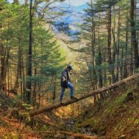 Josh Logan (@_joshlogan) 's Twitter Profile