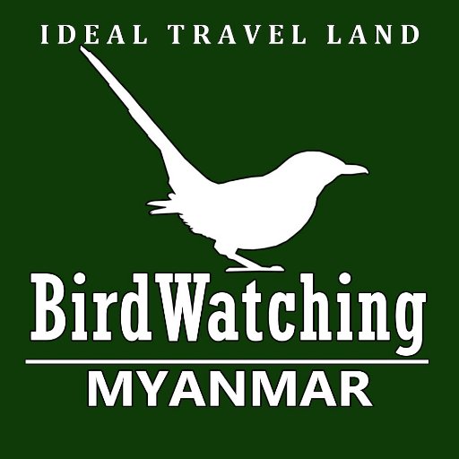 Birdwatching Myanmar is a brand of  a local tour company in Myanmar, offering birding tours as well as nuture tours in combination with culture tours as well.