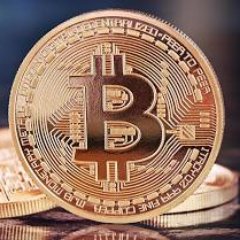 audure_btc's profile picture. Best Investment Generation Plan