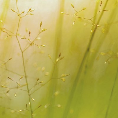 BasicBlockchain's profile picture. All about blockchain - How Why Who Where