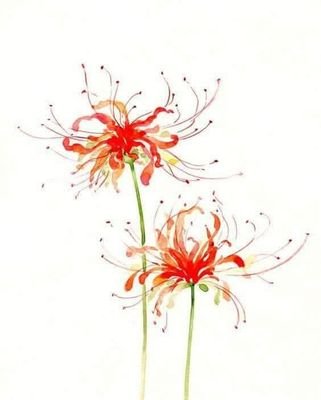 kikkoro2412's profile picture. 野生の野生動物
性欲魔人カオスルーラー
男なら大人しく癖で語ろう