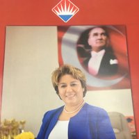 Nurdan Gundogdu (@nurdanzorer) 's Twitter Profile