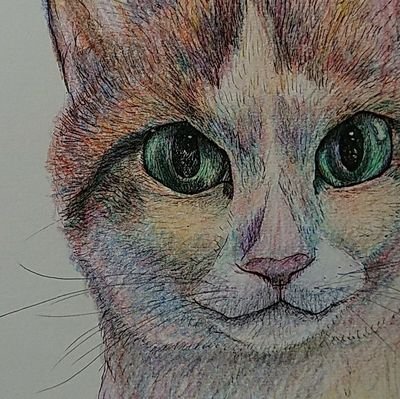 ゆうこ(・ω・)さんのプロフィール画像