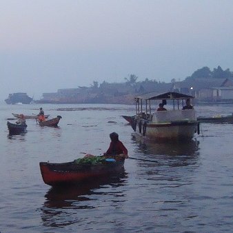 SidecMuse's profile picture. 