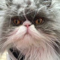 Jeremy Bentham (@jeremyb44628130) 's Twitter Profile