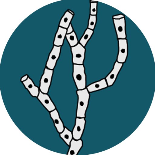 Journal of Fungi MDPI Profile