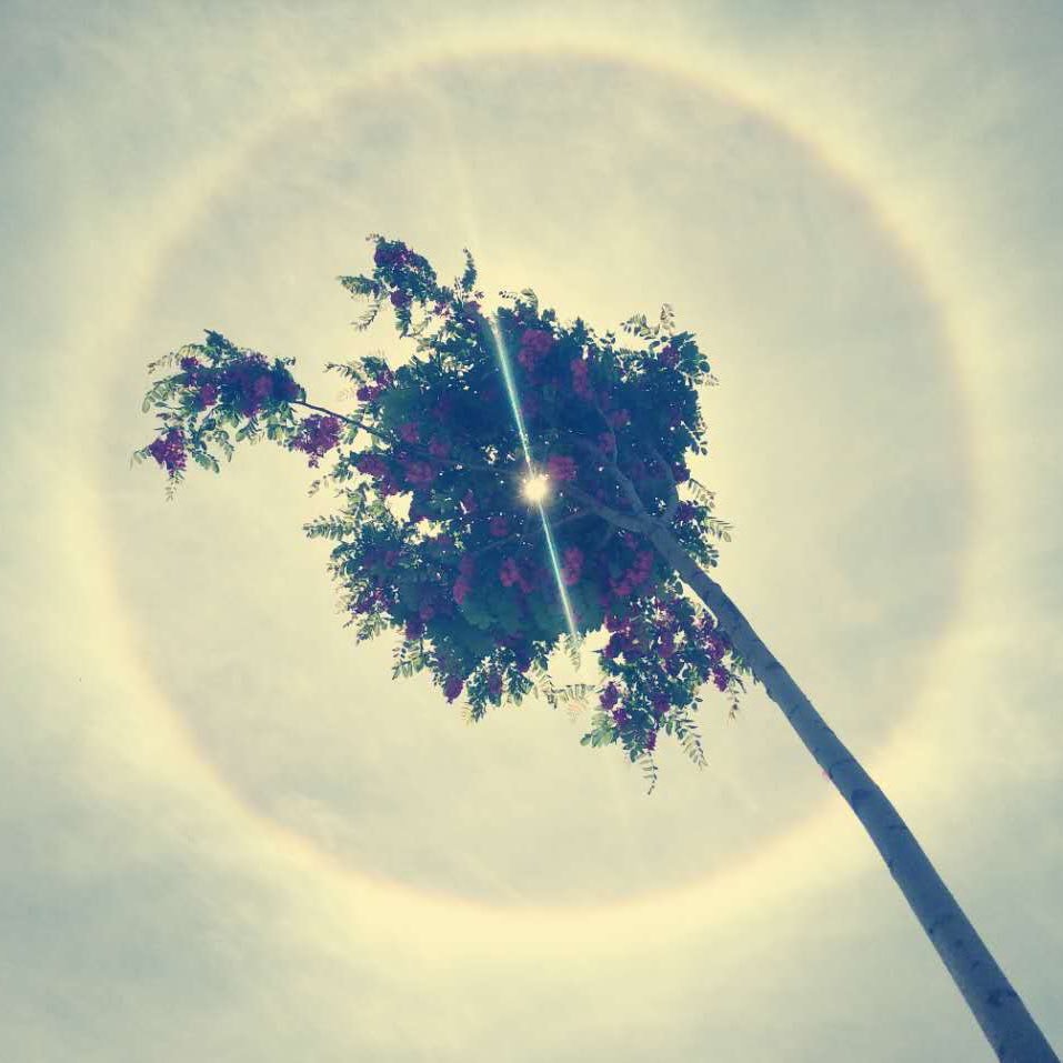 mjrsxlls's profile picture. 艺术与设计 新闻 生活 科技