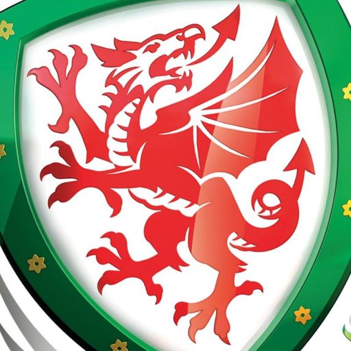 Wales Women's Team Profile