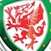 Wales Women's Team (@faw_womens) Twitter profile photo Wales Women's Team (@faw_womens) Twitter profile photo