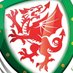 Wales Women's Team (@FAW_Womens) Twitter profile photo