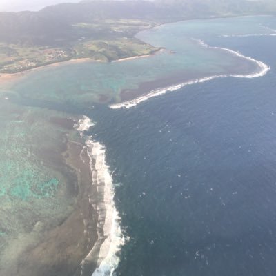 KST73544440's profile picture. どこかの社会人の多分役に立たないアカウント