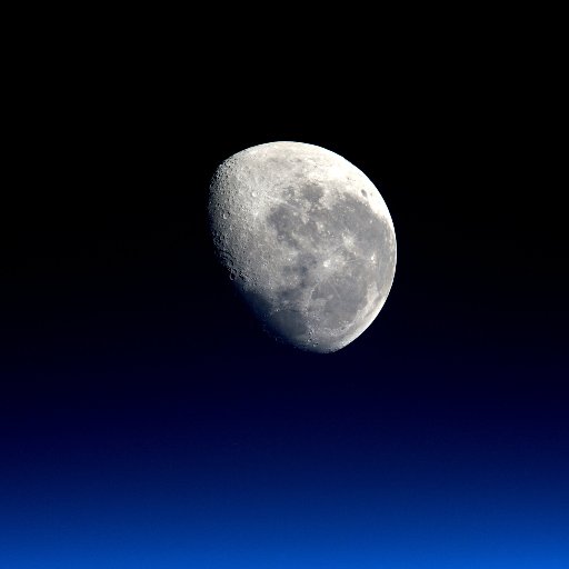 CamilleThubin's profile picture. Économiste Banque de France #conjoncture #prevision #Bdfeco