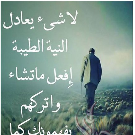 achour826's profile picture. 