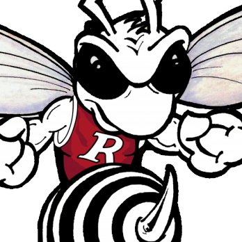 Rossville Schools offer an outstanding K-12 student centered academic program complemented by award winning fine arts and strong athletics.