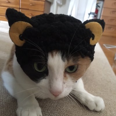 Igjr1Do's profile picture. 