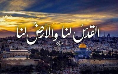 8525299_91's profile picture. 