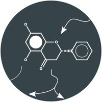 BioRetroSynth Research Group (@brsynth) 's Twitter Profile