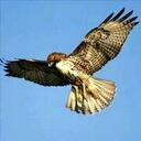 Bernardo  Sanchez - @venadopistolero - Twitter