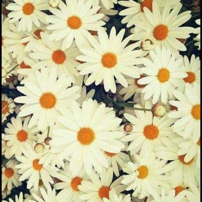 A_M_M_R_P's profile picture.