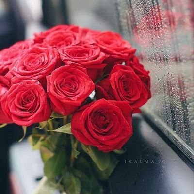 ‏‏اللهم لك الحمد حتى ترضى..🌹


في ودائعك من نحب يارب العالمين.. ❤