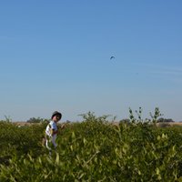 mõsh (@mosh980) 's Twitter Profile