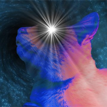 ColumbusTechRed's profile picture. Raytracing fanatic, math enjoyer