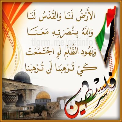 AHMED63293117's profile picture. 