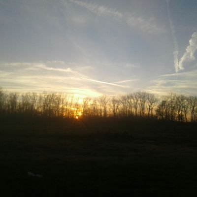 diannscoop's profile picture. HACKERS FROM HELL