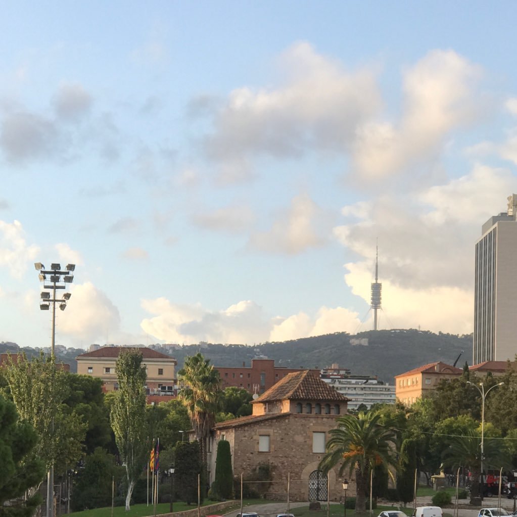 br_muda63's profile picture. 