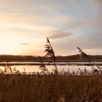 Morven Hislop (@morvenhislop) 's Twitter Profile Photo