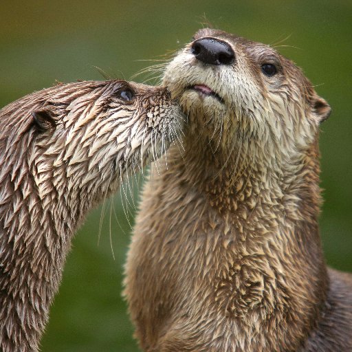 marythRAM's profile picture. I AM NOT A FEMINIST! I AM A WOMAN WHO IS PASSIONATE!