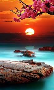 jotaem5050's profile picture. الأمل يخفف الدمعة التي يسقطها الحزن