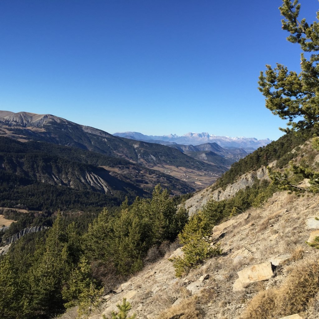 Kamel2mars2's profile picture. follow with attention cryptocurrency evolution ... share last #airdrop [[#crypto & #token & #altcoin & #faucet & #bounty #giveaway]]