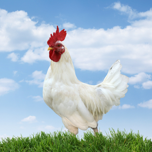 Markus9000's profile picture. Actio exteriora indicant interiora secreta.