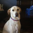 Chuck Powers - @cpowers1963 - Twitter