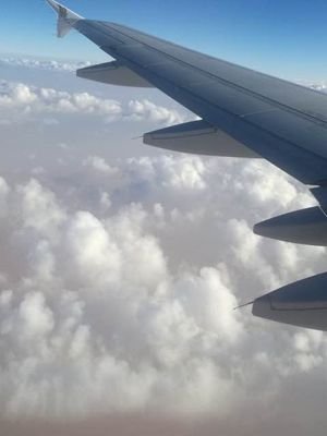 فنانون ومشاهير