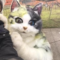 山田 三毛猫 (@zerozero93) 's Twitter Profile