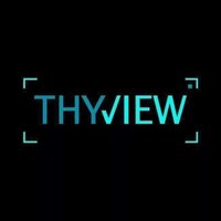 Thyview (@thyview) 's Twitter Profile