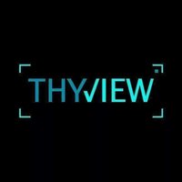 Thyview(@Thyview) 's Twitter Profile Photo