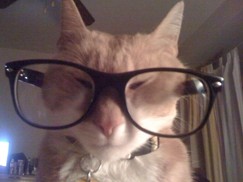 YeahMikeRomeo's profile picture. 