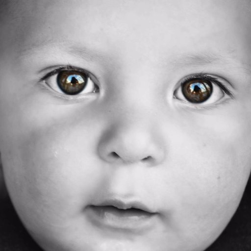 I'm Baby Le Roc. Watch my videos and subscribe on youtube before I get triggered.