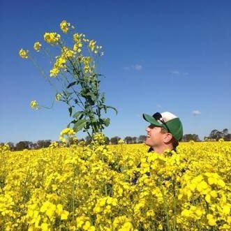 Kanaley Ag Consulting. Independent agronomist & part time dryland farmer, Illabo. Passionate about Ag & results driven agronomy. Rugby & 💦❄️ enthusiast