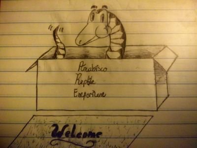 AmabiscoReptile's profile picture. Providing The Best Quality Reptiles At Affordable Prices!