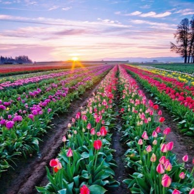سبحان الله وبحمده ، سبحان الله العظيم