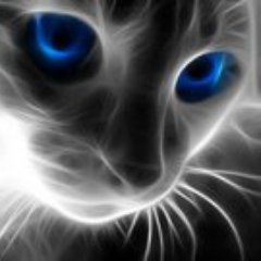 Roland_Perick's profile picture. 