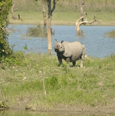 KAZIRANGA NATIONAL PARK
JEEP SAFARI
ZONES GATE
1. AGORATOLI EASTERN RANGE
2. KOHORA SANTERL RANGE
3. BAGORI WESTERN RANGE 4: BURHAPA
CONTACT : 8876356201