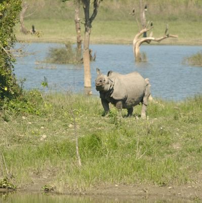 KAZIRANGA NATIONAL PARK 
JEEP SAFARI 
ZONES GATE 
1. AGORATOLI EASTERN RANGE 
2. KOHORA SANTERL RANGE 
3. BAGORI WESTERN RANGE 4: BURHAPA
 
CONTACT : 8876356201