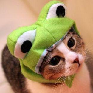 marimo_1028's profile picture. ingressやってます。最近ちょっと心がお疲れです。阪神タイガースが勝つと元気になります。